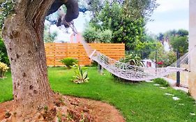 La Casa Di Nonno